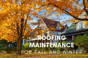 Read more about the article 5 of The Best Roof Maintenance Tips For Fall and Winter