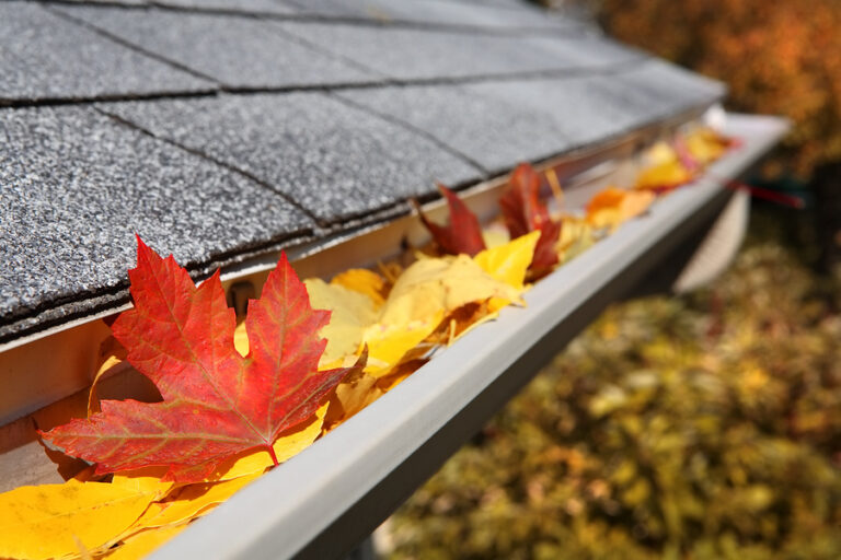 Read more about the article 5 Tips for Proper Gutter Care During The Rainy Season